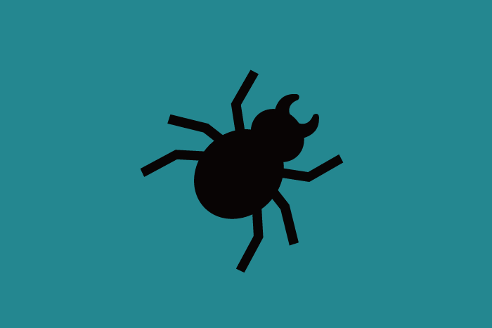 bug